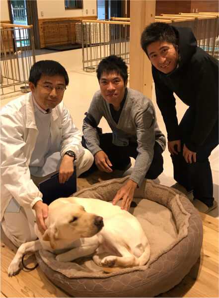 関西盲導犬協会における診療委託事業イメージ