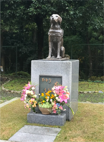 関西盲導犬協会における診療委託事業イメージ