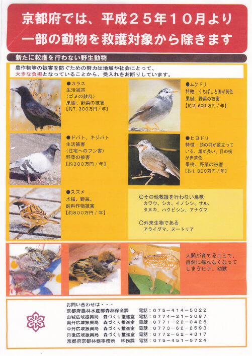 野生鳥獣の救護指定医イメージ