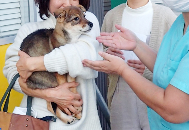 第18号犬イメージ