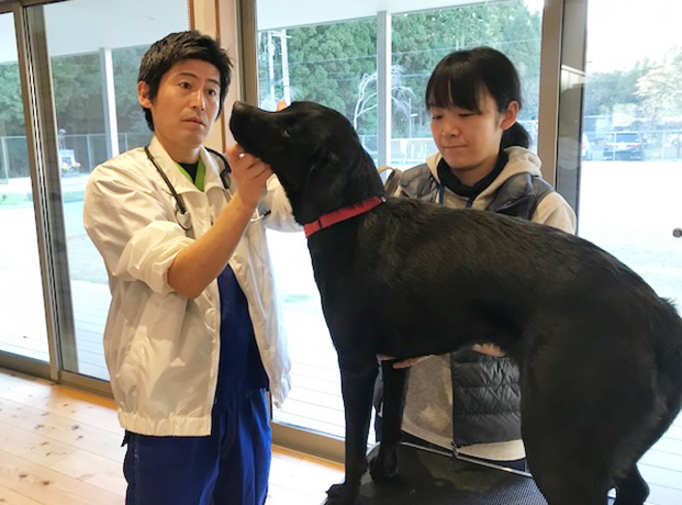 盲導犬診察風景1