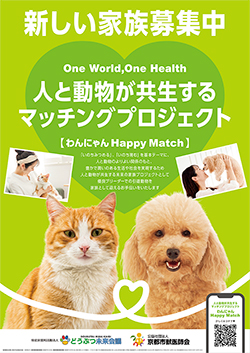 わんにゃんHappyMatchチラシ