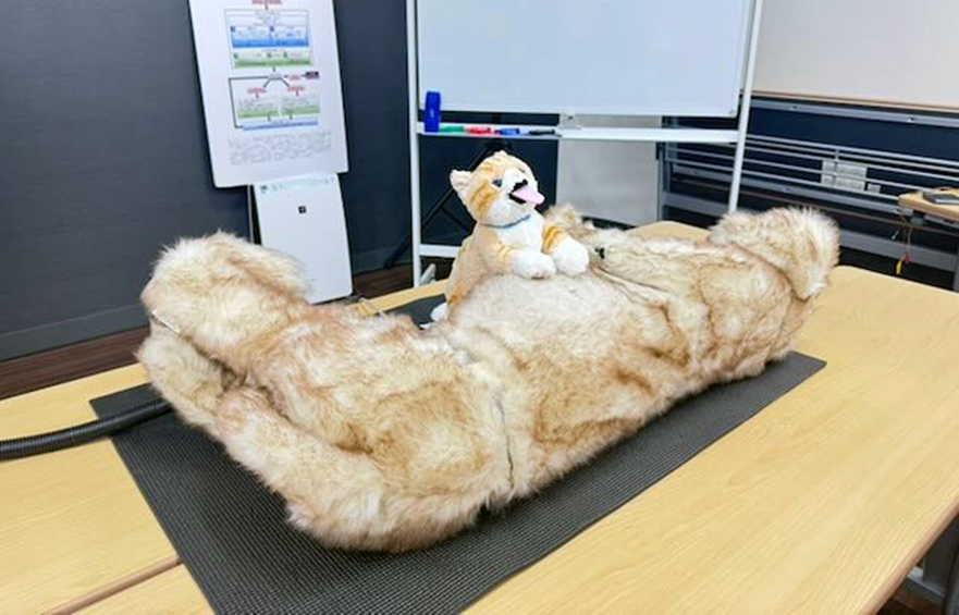 RECOVER実習 in 岡山 2025