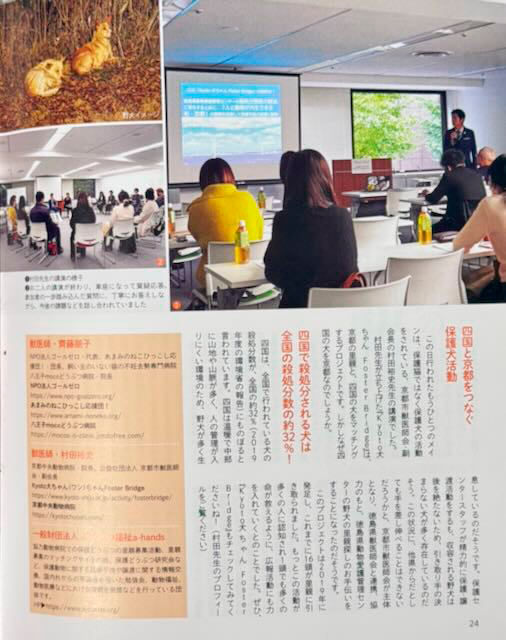 保護にゃん 2月号